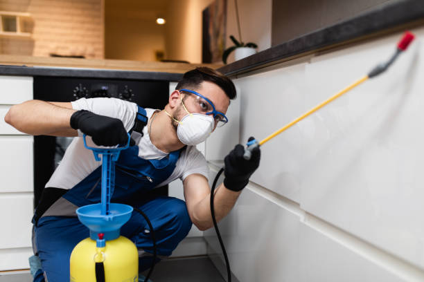 Best Commercial Pest Control Services  in White House, TN