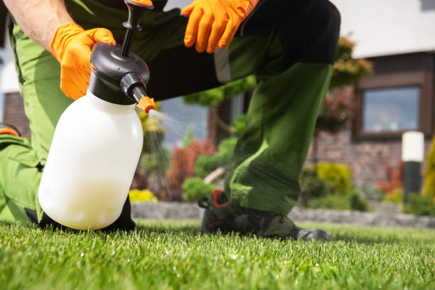 Best Local Pest Control Services  in White House, TN