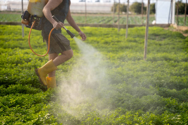 Best Best Pest Control Companies  in White House, TN