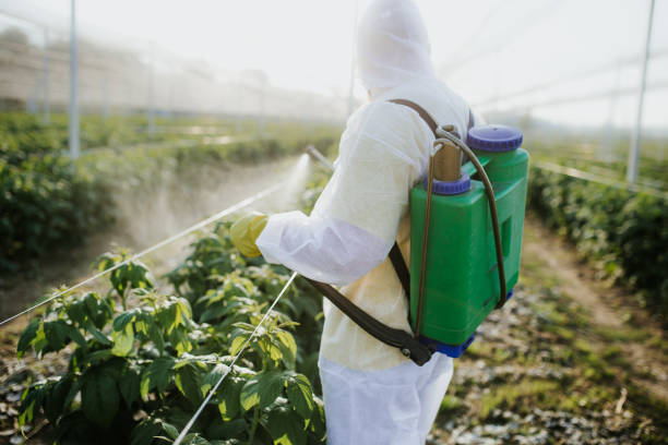 Best Insect Control  in White House, TN